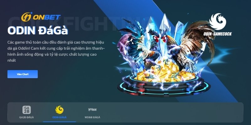 Hướng dẫn 4 bước tham gia cá cược đá gà tại Onbet